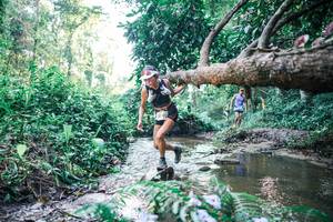 BIB: 
                            <button type="button" onclick="openModal(25431168)" class="btn btn-primary btn-sm float-right btn-popup" data-toggle="modal" data-target=".modal-high-quality">
                        <i class="fas fa-shopping-cart"></i> Add to Cart
                    </button>
                                            <button type="button" onclick="isThisMe(25431168, true)" class="btn btn-success btn-sm float-right btn-popup btn-isme hidden" data-toggle="tooltip" data-placement="bottom" title="นี่คือรูปของคุณใช่ไหม คลิกที่นี่เพื่อเอาเข้าอัลบั้ม">
                        <i class="fas fa-plus"></i> Add to album
                    </button>
                    <button type="button" onclick="isThisMe(25431168, false)" class="btn btn-warning btn-sm float-right btn-popup btn-isnotme hidden">
                        <i class="fas fa-ban"></i> Remove from album
                    </button>